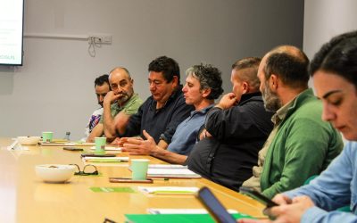 Co-Creation Workshop: Advancing Sustainable Viticulture in Galicia
