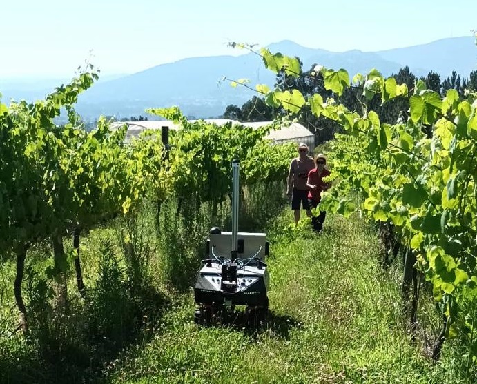 CSIC Researchers Test Robot in UVIGO Vineyards