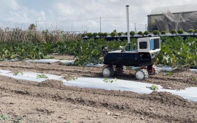 Advancing AgriTech in the Mediterranean!